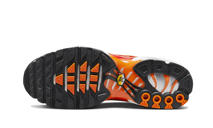 air-max-plus-light-photography-raven-sneakers