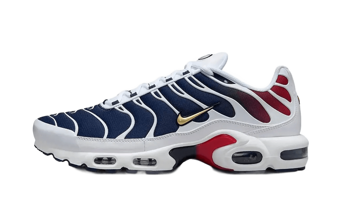 Nike Air Max Plus PSG - FZ4776-100