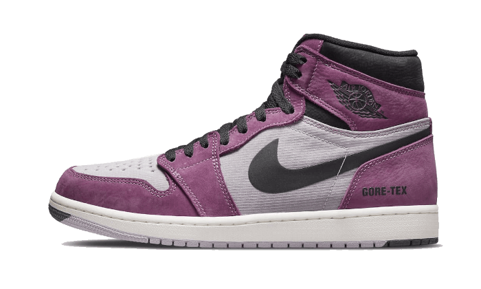 air-jordan-1-high-element-gore-tex-berry-raven-sneakers