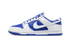 dunk-low-reverse-kentucky-raven-sneakers