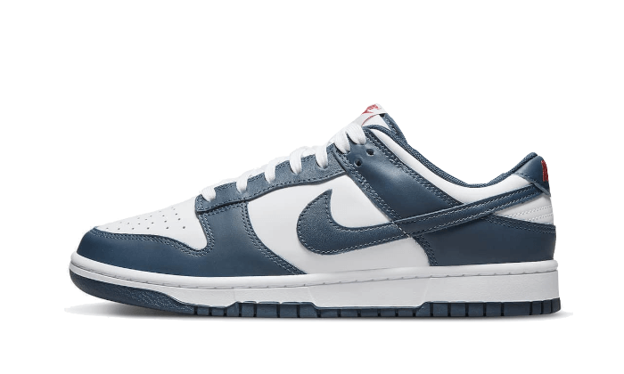 dunk-low-valerian-blue-raven-sneakers