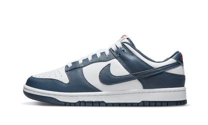 dunk-low-valerian-blue-raven-sneakers