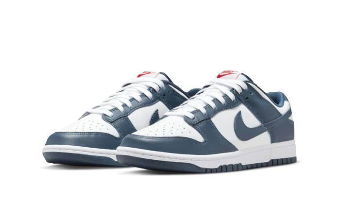 dunk-low-valerian-blue-raven-sneakers