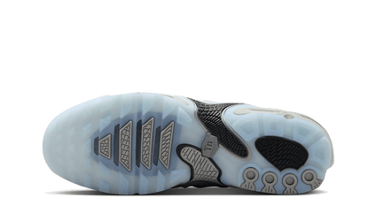 Nike Air Max Plus Drift Light Smoke Grey - FD4290-002