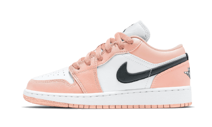 air-jordan-1-low-light-arctic-rose-raven-sneakers