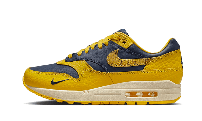 air-max-1-cojp-michigan-raven-sneakers