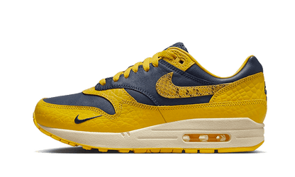 air-max-1-cojp-michigan-raven-sneakers