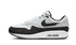 Nike Air Max 1 White Black - FD9082-107 / DZ2628-102