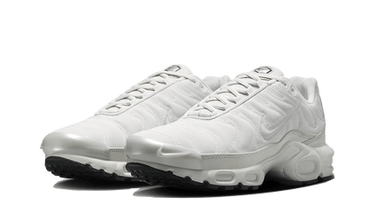 Nike Air Max Plus Reflective Platinum - FZ4342-001