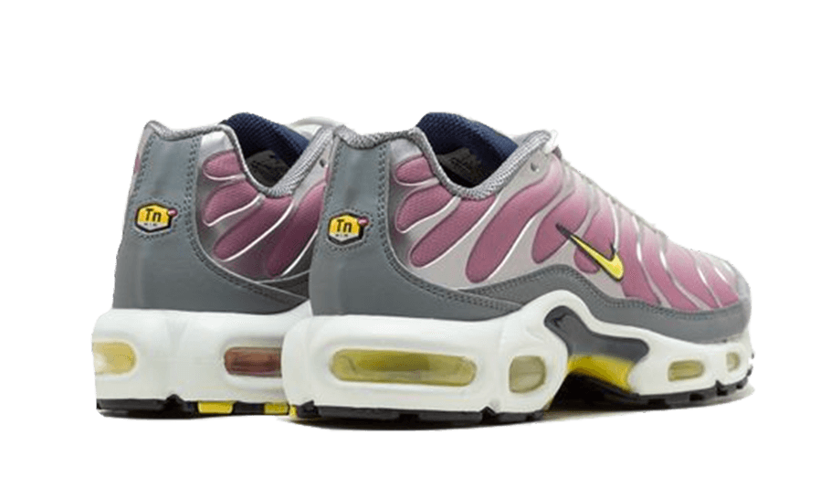 air-max-plus-violet-dust-raven-sneakers