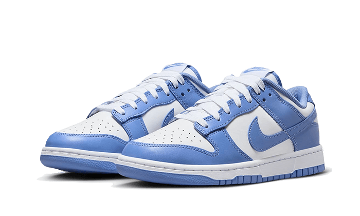 dunk-low-polar-blue-raven-sneakers