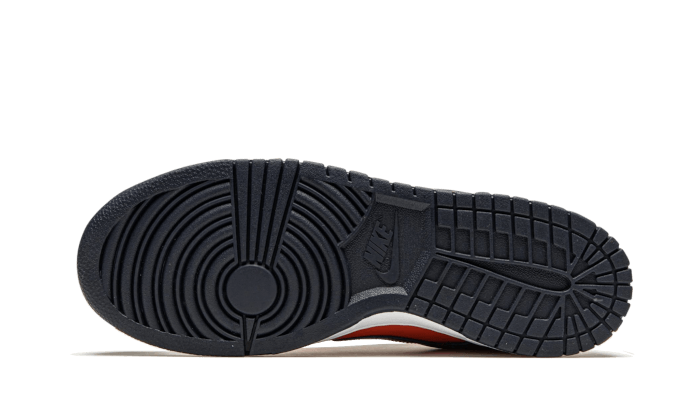 dunk-low-sp-champ-colors-raven-sneakers